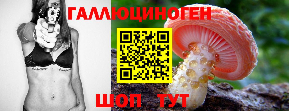 Псилоцибиновые грибы Psilocybe Сатка